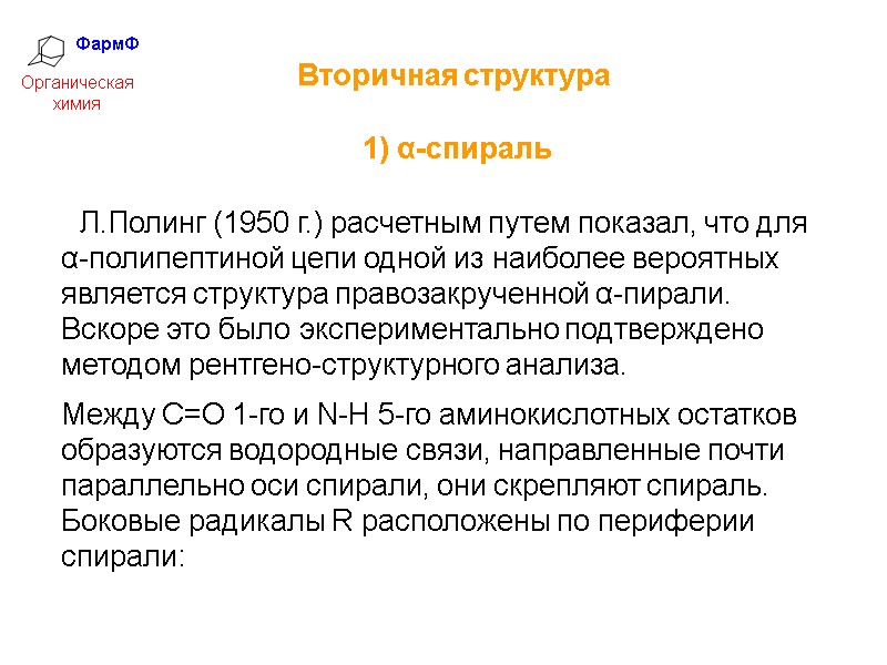 ФармФ  Органическая химия Вторичная структура 1) α-спираль    Л.Полинг (1950 г.)